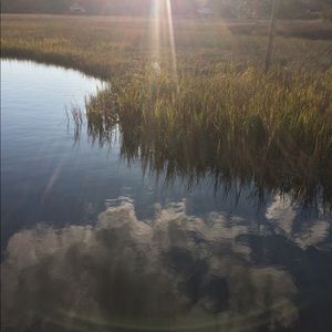 Meet your Posher, Julia